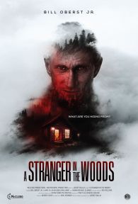 VER A Stranger in the Woods Online Gratis HD