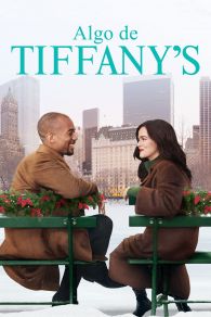 VER Algo de Tiffany’s (Something from Tiffany’s) Online Gratis HD