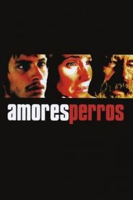 VER Amores perros Online Gratis HD