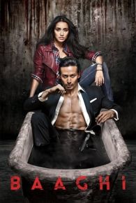 VER Baaghi Online Gratis HD