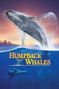 VER Ballenas 3D (2015) Online Gratis HD