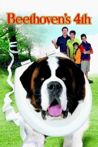 VER Beethoven 4: Enredo en la familia Online Gratis HD