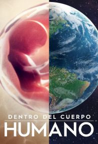 VER Cuerpo humano: Un mundo entrañable Online Gratis HD