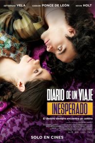 VER Diario de un viaje inesperado Online Gratis HD