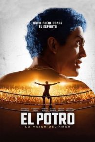 VER El Potro: lo mejor del amor Online Gratis HD