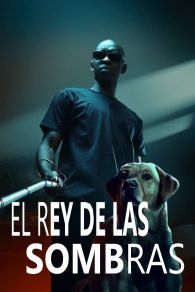 VER El rey de las sombras Online Gratis HD