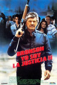 VER El vengador anónimo 4: El regreso del justiciero Online Gratis HD