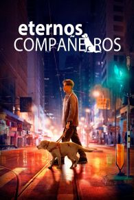 VER Eternos Compañeros Online Gratis HD