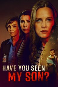 VER Have You Seen My Son? Online Gratis HD