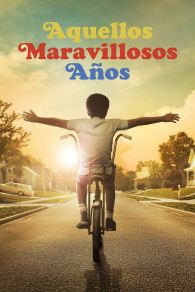 VER Los años maravillosos Online Gratis HD