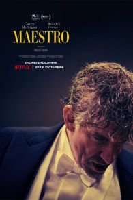 VER Maestro Online Gratis HD