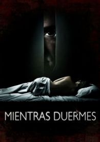 VER Mientras duermes Online Gratis HD