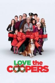 VER Navidades, ¿bien o en familia? (2015) Online Gratis HD