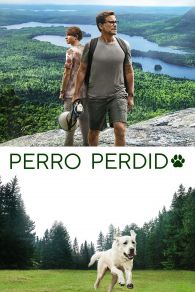 VER Perro perdido Online Gratis HD