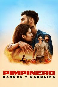 VER Pimpinero: Sangre y gasolina Online Gratis HD