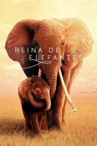 VER Reina de elefantes Online Gratis HD