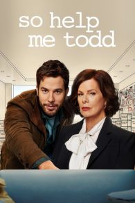 VER So Help Me Todd Online Gratis HD