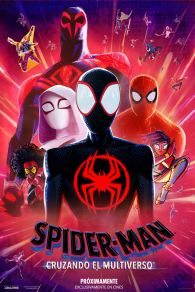 VER Spider-Man: A través del Spider-Verso Online Gratis HD