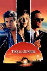 VER Traición al amanecer (1988) Online Gratis HD