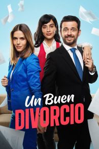 VER Un buen divorcio Online Gratis HD