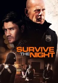 VER Una Noche Larga Online Gratis HD